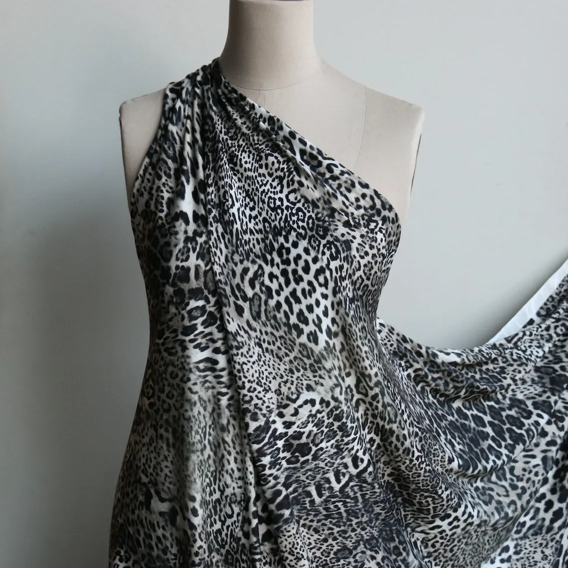 Gatto Grigio Jersey