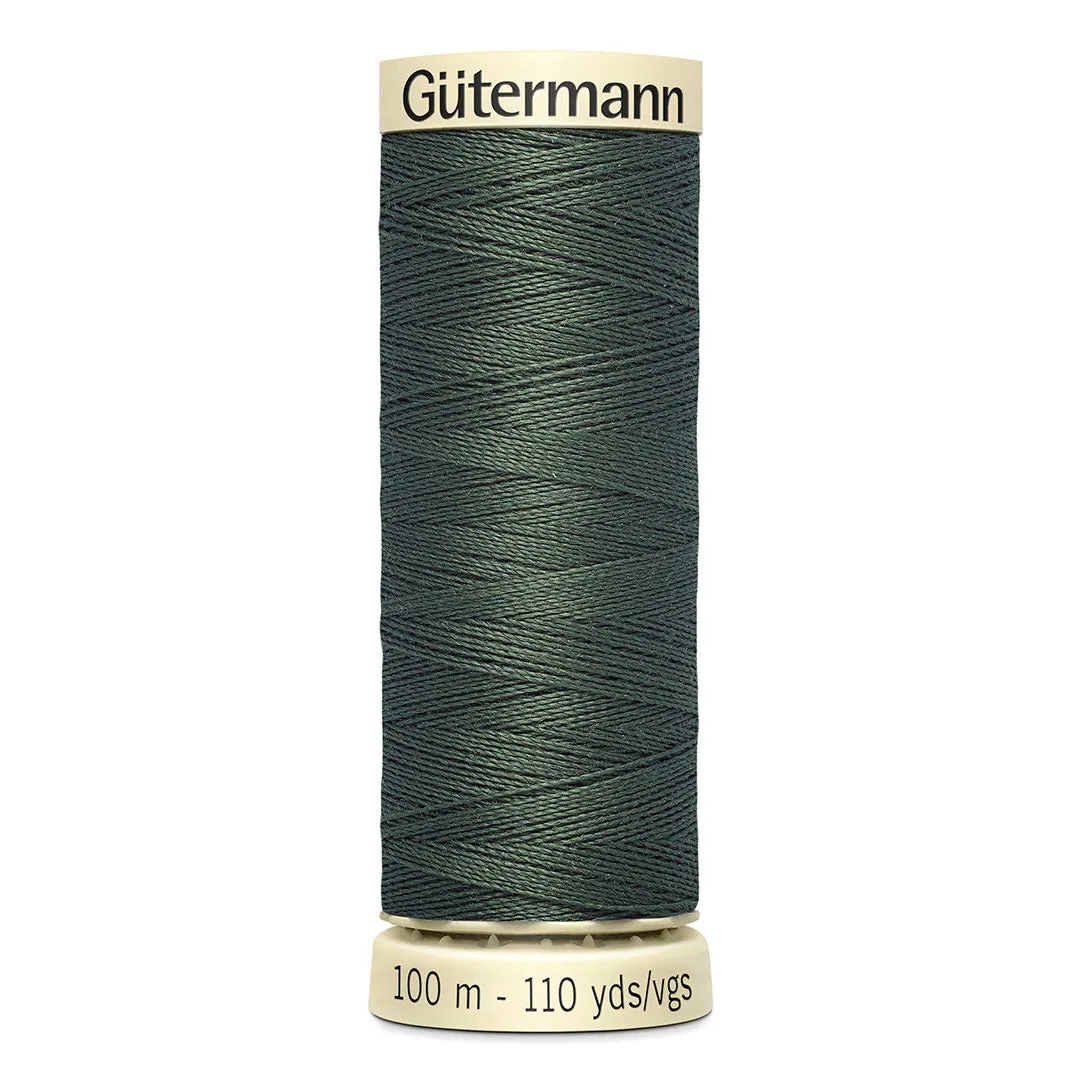 Gatto Grigio Jersey