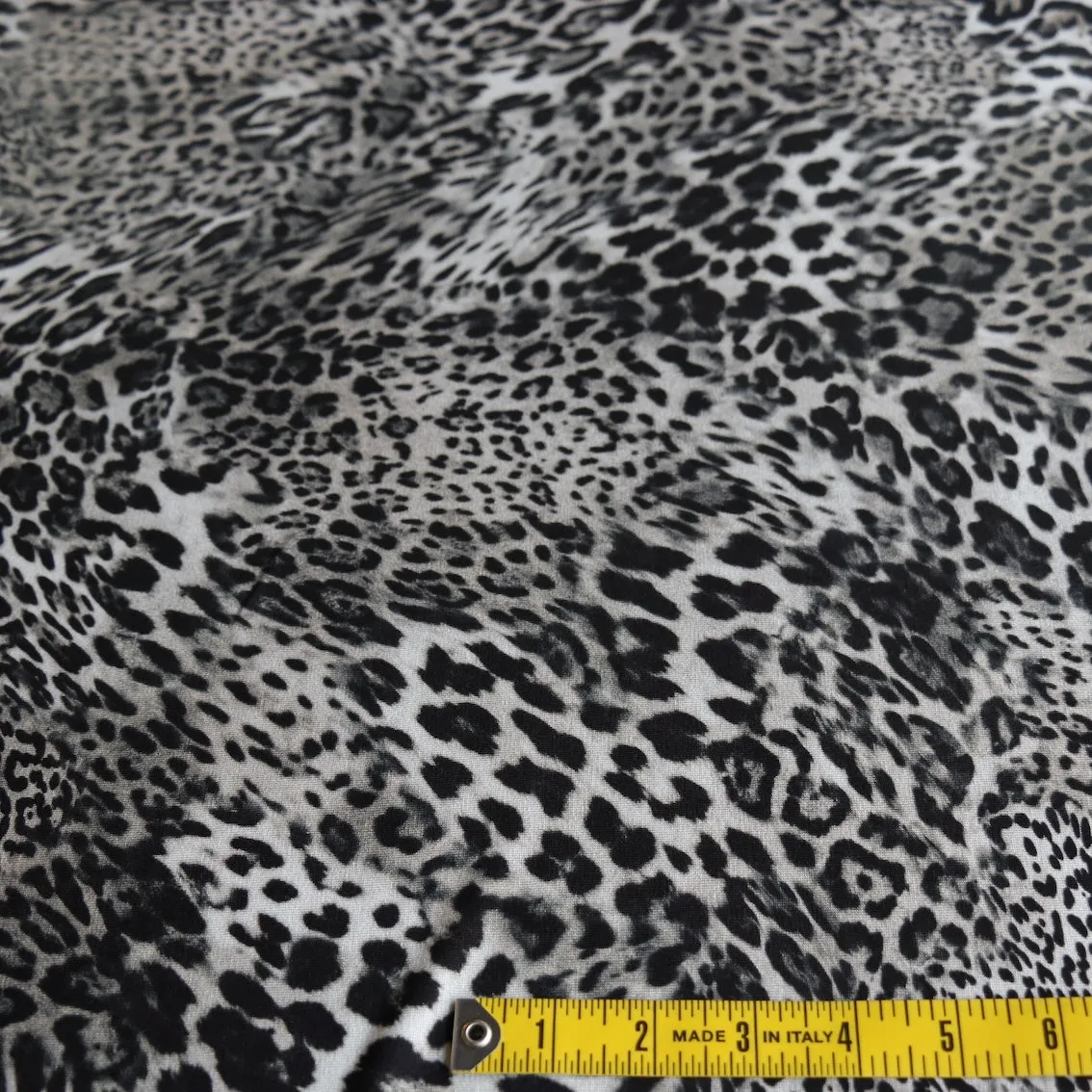 Gatto Grigio Jersey
