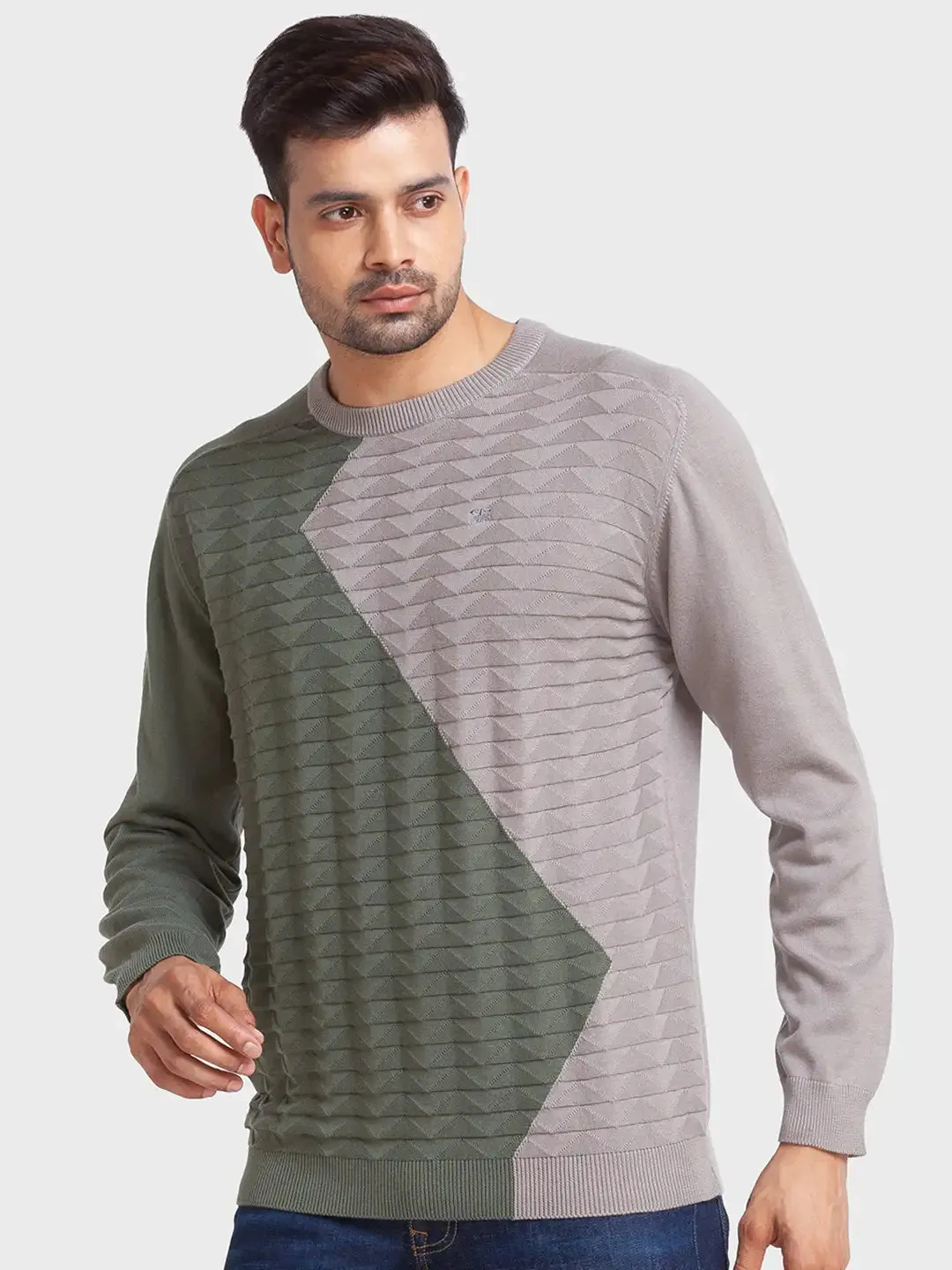 Men Green Tailored Fit Jacquard Cotton Full Sleeve Round Collar Sweaters