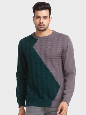Men Grey Tailored Fit Jacquard Cotton Full Sleeve Round Collar Sweaters