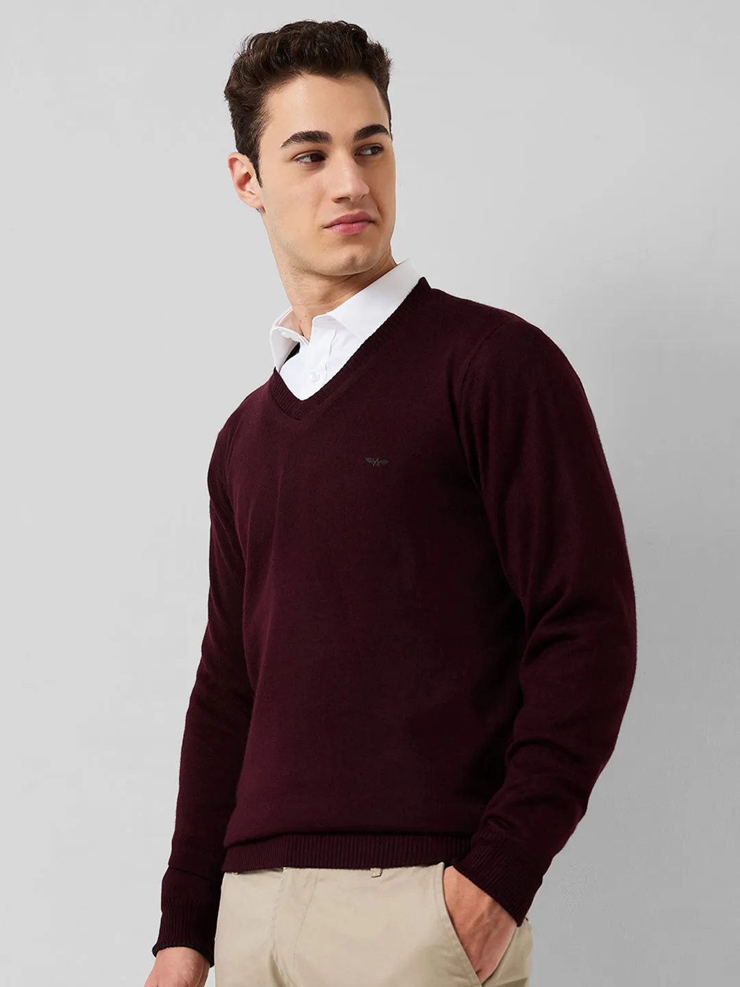 Park Avenue Men Red Solid Regular Fit Acrylic Blend Sweaters
