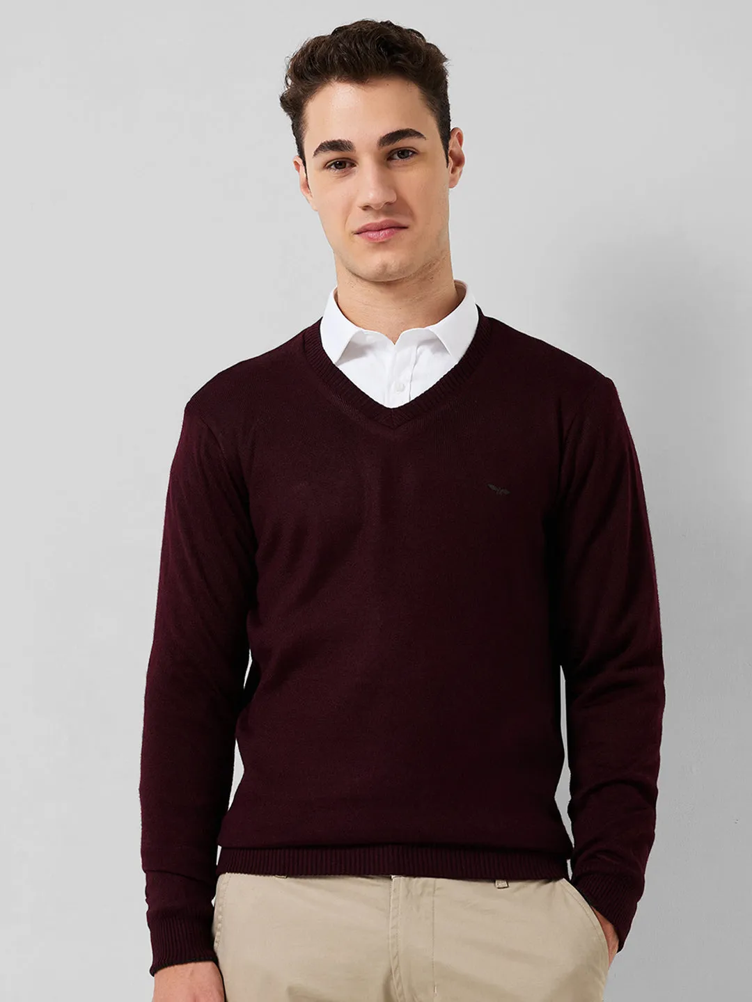 Park Avenue Men Red Solid Regular Fit Acrylic Blend Sweaters