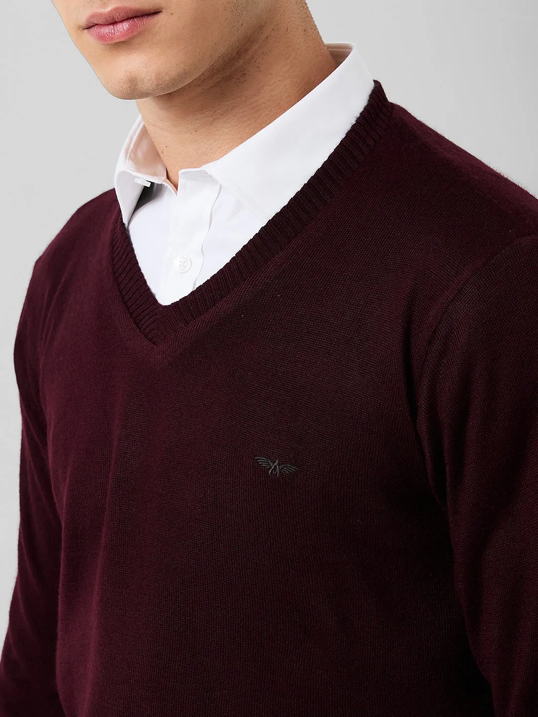 Park Avenue Men Red Solid Regular Fit Acrylic Blend Sweaters